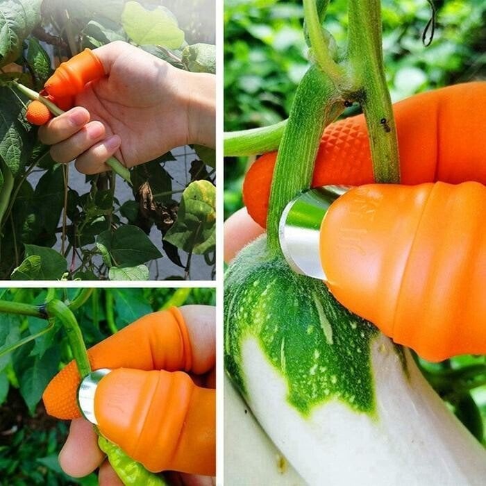 Daumenmesser für die Gartenarbeit