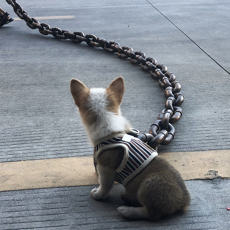 BarkBling - Lustiges großes Hundehalsband