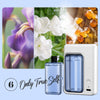 Pocket diffsuer™ - Wandmontierter automatischer Fragrance-Spender [Letzter Tag Rabatt]