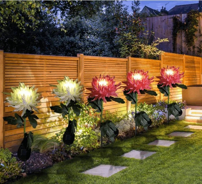 SolarGlow™ -  Chrysantheme Solar Gartenstecker LED [Letzter Tag Rabatt]