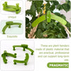 Plantop™ - Winkeleinstellbare Pflanzentrainingsclips - Verbessern Sie das Leben Ihrer Pflanzen! [Letzter Tag Rabatt]