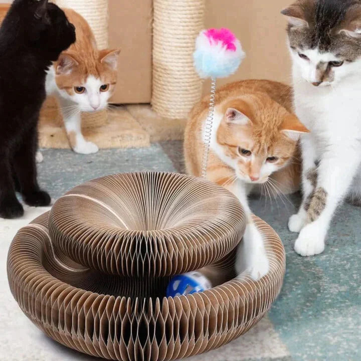 HappyCat™ - Kratzspielzeug für Katzen [Letzter Tag Rabatt]