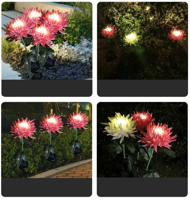 SolarGlow™ -  Chrysantheme Solar Gartenstecker LED [Letzter Tag Rabatt]