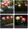 SolarGlow™ -  Chrysantheme Solar Gartenstecker LED [Letzter Tag Rabatt]