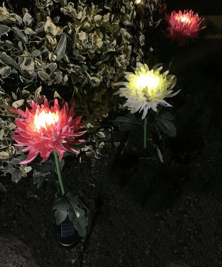 SolarGlow™ -  Chrysantheme Solar Gartenstecker LED [Letzter Tag Rabatt]