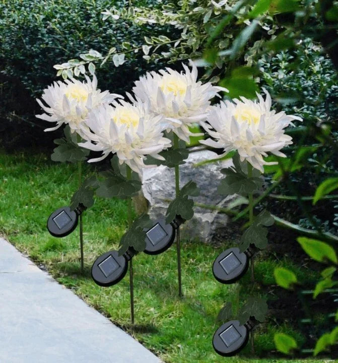 SolarGlow™ -  Chrysantheme Solar Gartenstecker LED [Letzter Tag Rabatt]