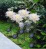 SolarGlow™ -  Chrysantheme Solar Gartenstecker LED [Letzter Tag Rabatt]