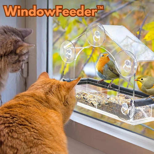 WindowFeeder™ - Fenster-Futterspender für Vögel