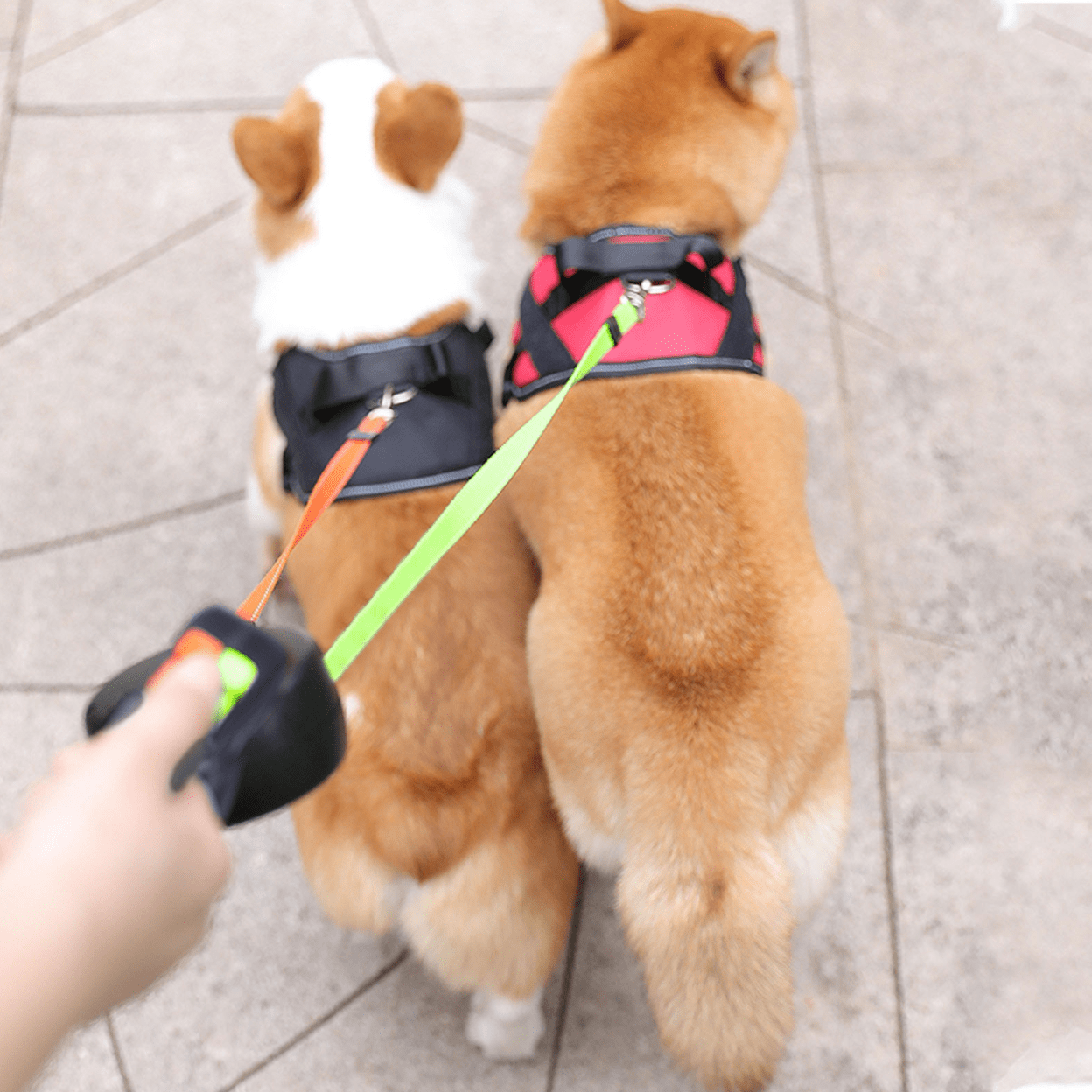 DoppelHund - Doppelte Hundeleine mit Taschenlampe zum Umwickeln