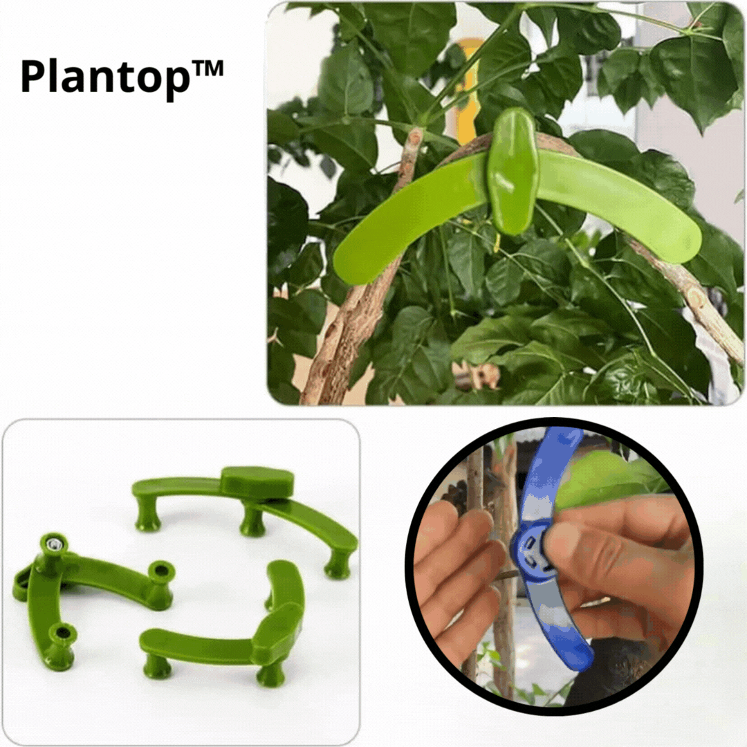 Plantop™ - Winkeleinstellbare Pflanzentrainingsclips - Verbessern Sie das Leben Ihrer Pflanzen! [Letzter Tag Rabatt]