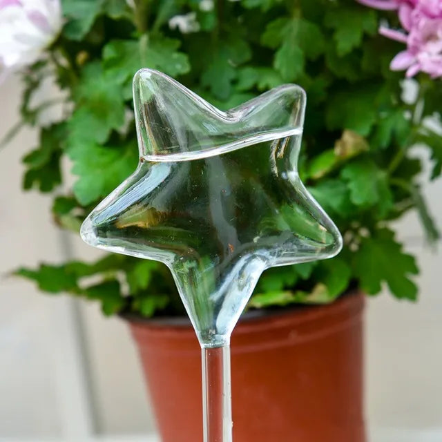 (2+2 Gratis) PlantCare™ - Wunderschöne, gläserne, selbstbewässernde Futterhäuschen mit Vogel-, Stern- und Pilzmotiven! [Letzter Tag Rabatt]