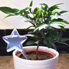 (2+2 Gratis) PlantCare™ - Wunderschöne, gläserne, selbstbewässernde Futterhäuschen mit Vogel-, Stern- und Pilzmotiven! [Letzter Tag Rabatt]
