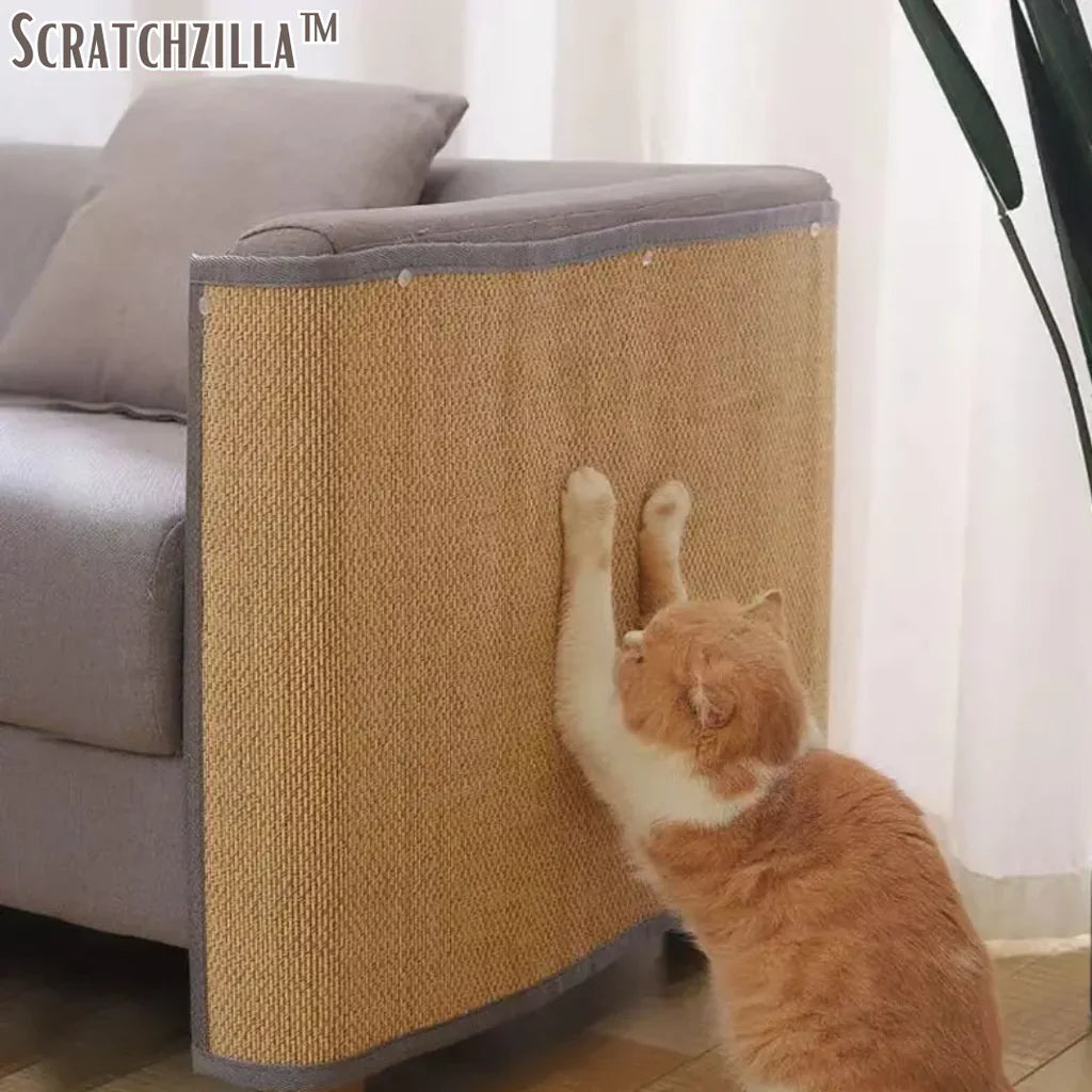 Scratschzilla - Kratzmatte Katze AutoBuff - Auto-Polierer (Letzter Tag Rabatt)