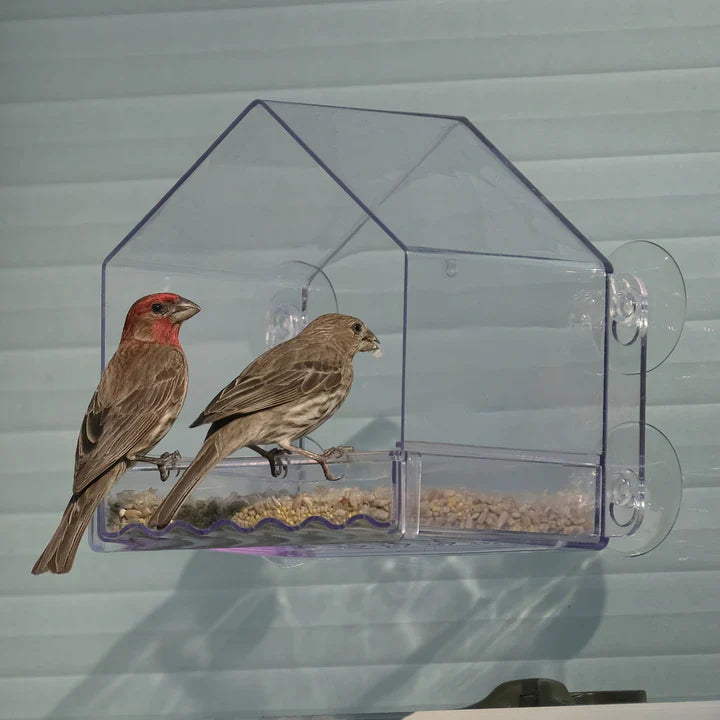 WindowFeeder™ - Fenster-Futterspender für Vögel