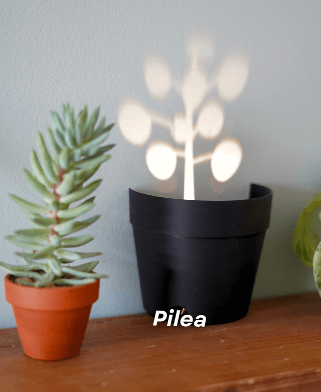 LightPlant - Lichtprojektionen Pflanzentopf