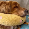 PetPillow™ - Der ultimative Beruhigungsbegleiter für Ihr Haustier [Letzter Tag Rabatt]