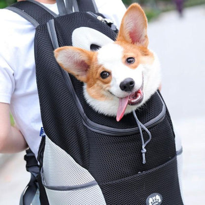 PawsN’Go | Der ultimative Rucksack für unterwegs für kleine Hunde und Katzen