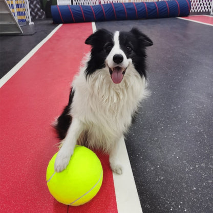 Aufblasbarer Tennisball | Hundespielzeug