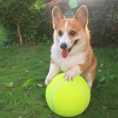 Aufblasbarer Tennisball | Hundespielzeug