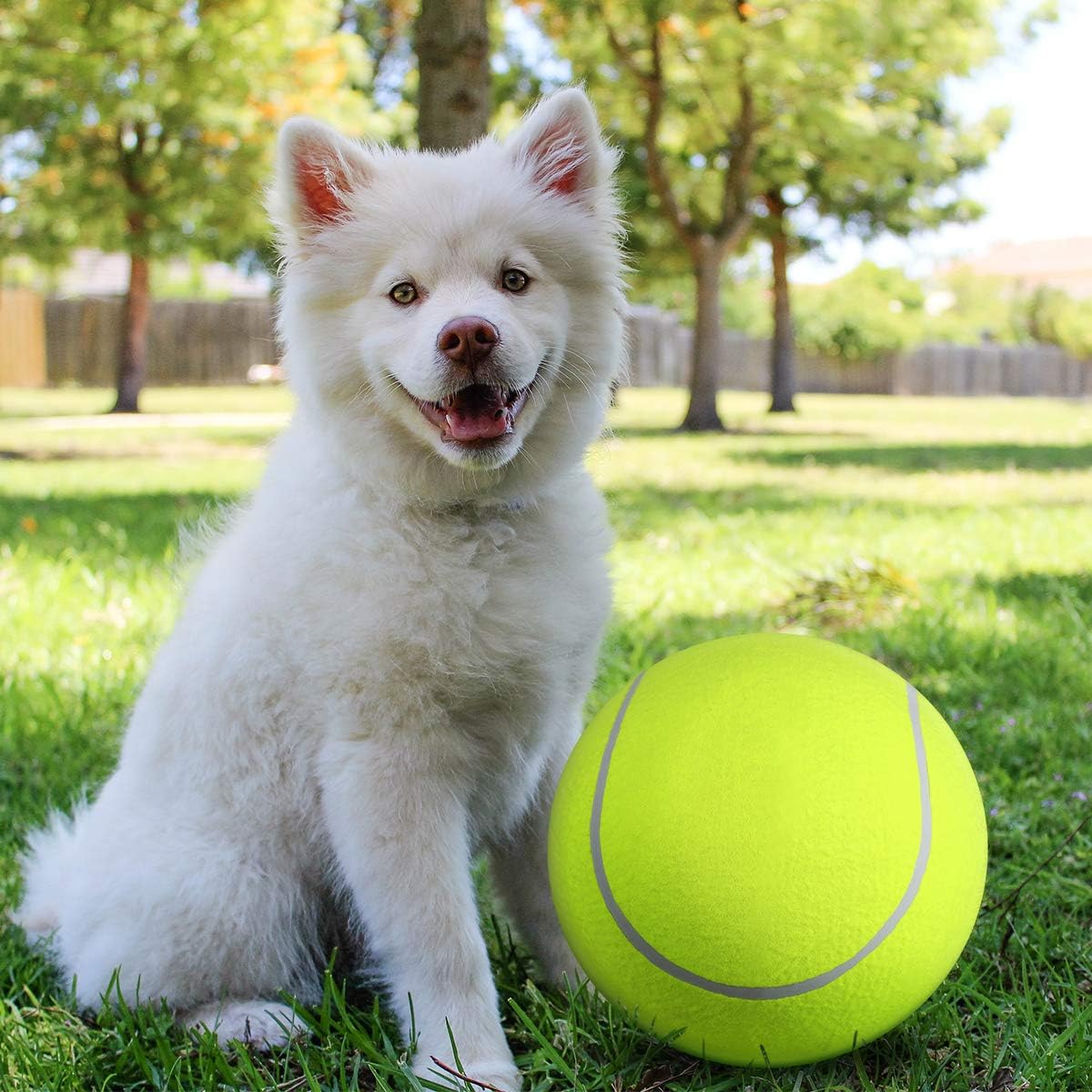 Aufblasbarer Tennisball | Hundespielzeug