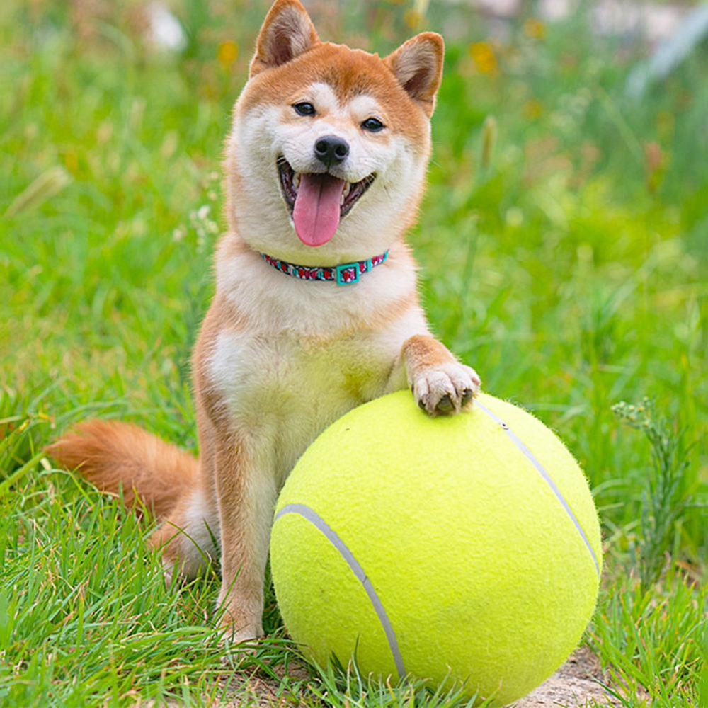 Aufblasbarer Tennisball | Hundespielzeug