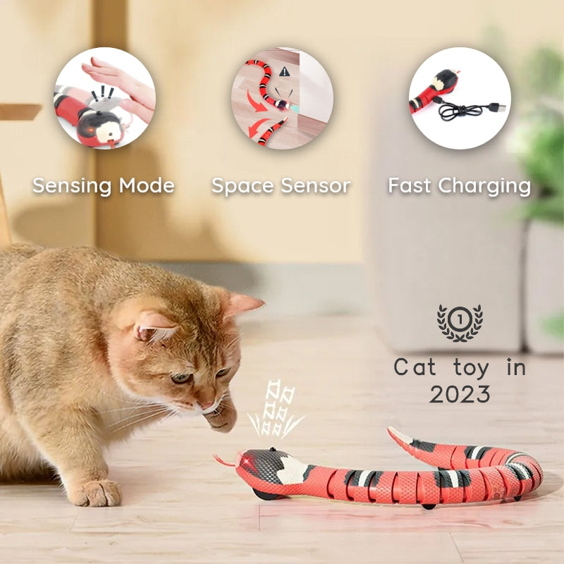 (50% Rabatt) SnakeToy™ - Smart Snake Spielzeug für Ihre Katzen! [Letzter Tag Rabatt]