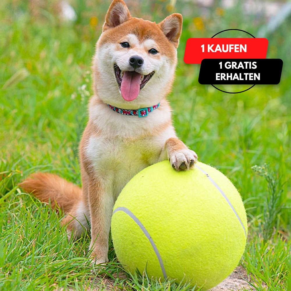 Aufblasbarer Tennisball | Hundespielzeug