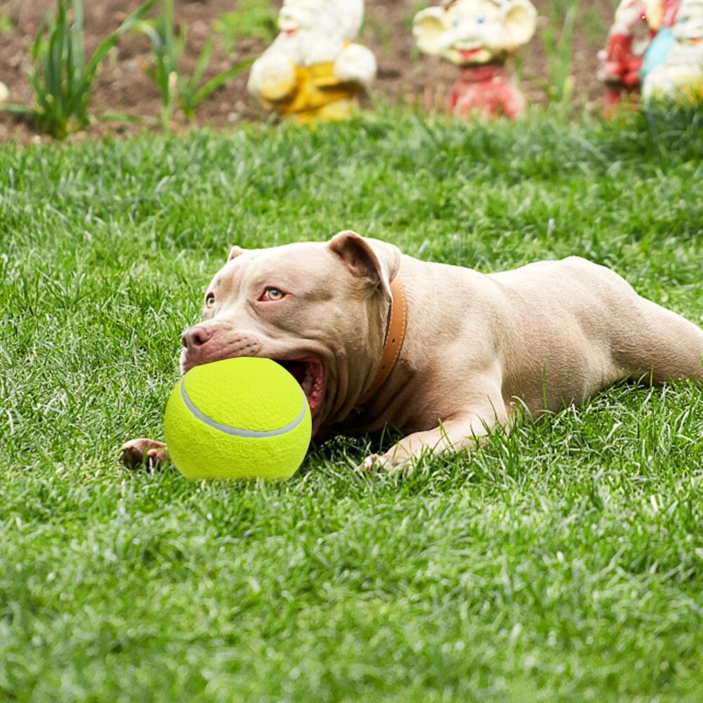 Gianti™ | Monster-Tennisball für Hunde