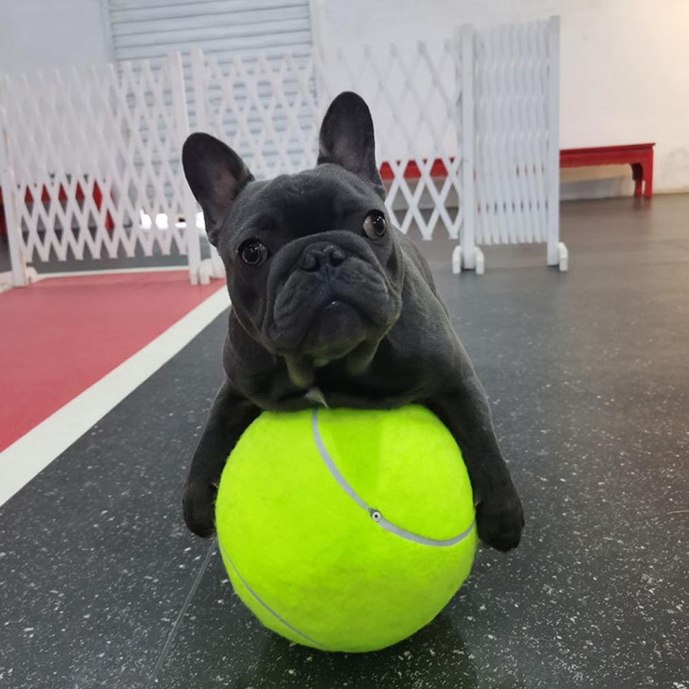 Aufblasbarer Tennisball | Hundespielzeug